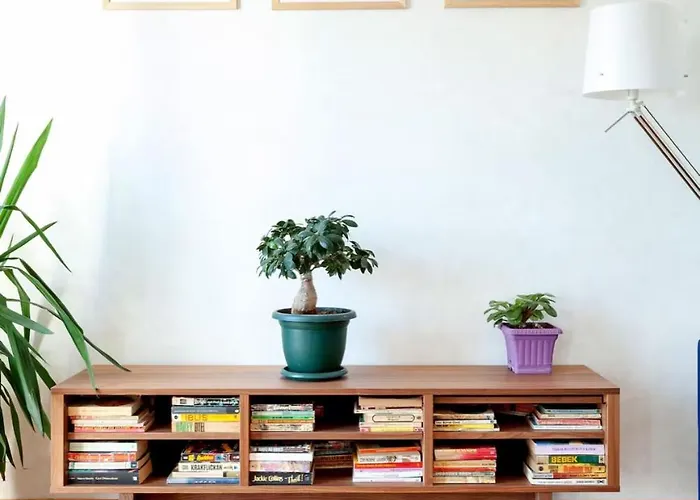 公寓 Historic Elegance With A Bosphorus Gaze