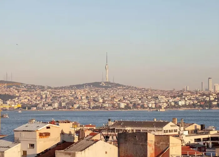 Historic Elegance With A Bosphorus Gaze 公寓 伊斯坦布尔